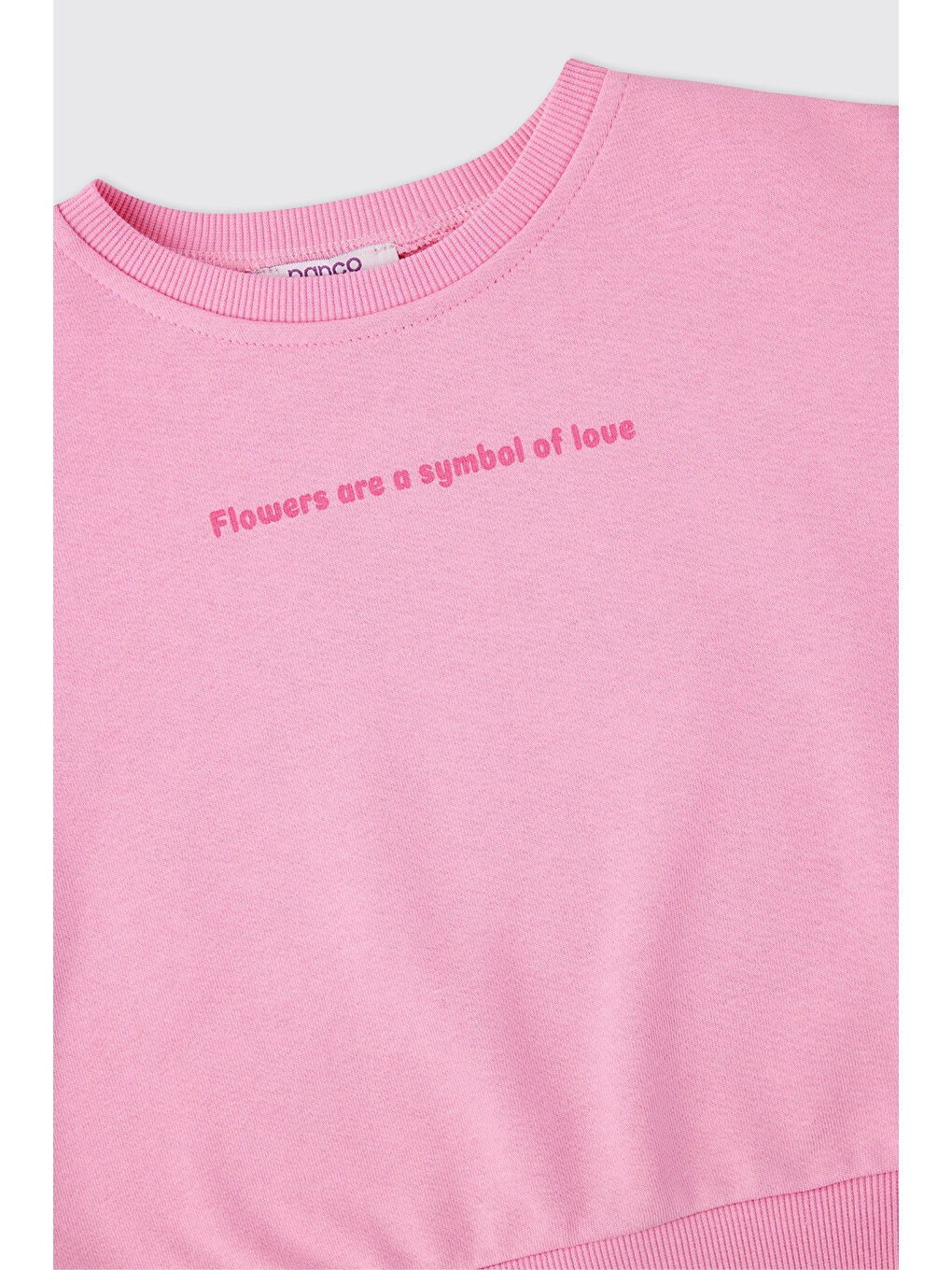 Kız Çocuk Pembe 2'li Takım-3