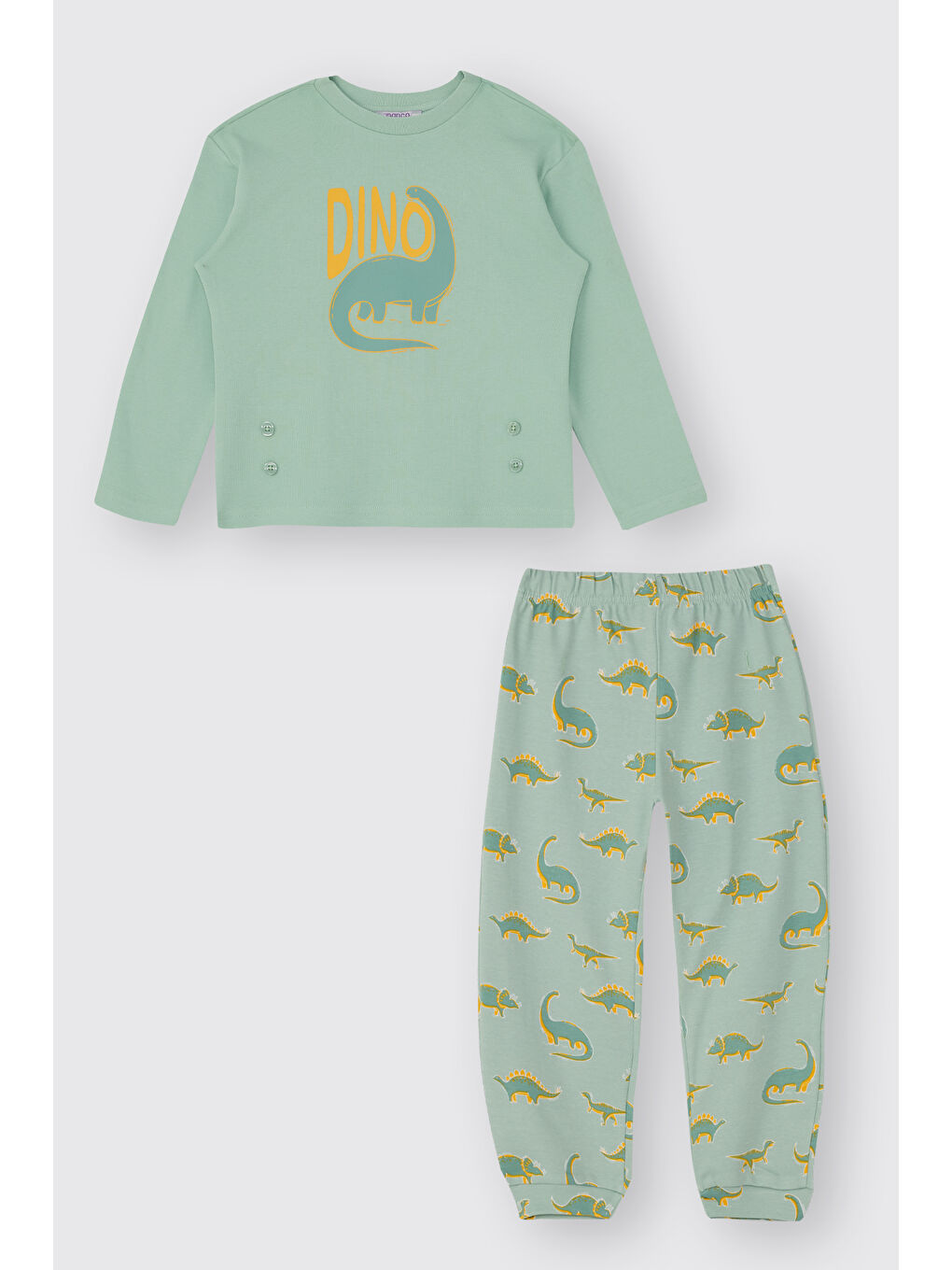 Erkek Çocuk Dinozor Desenli Turkuaz Pijama Takımı-2