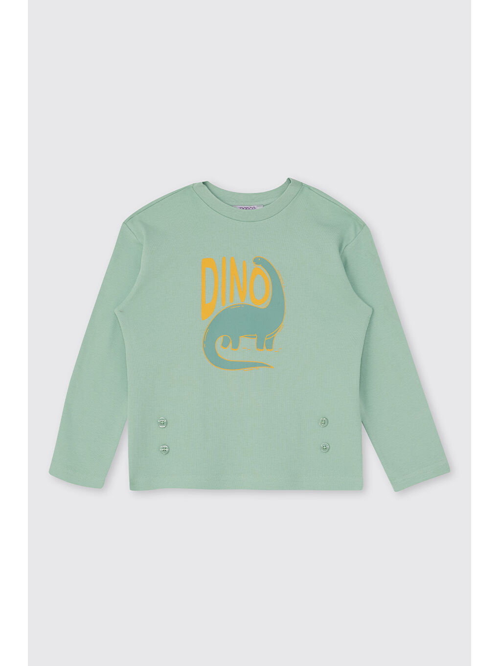 Erkek Çocuk Dinozor Desenli Turkuaz Pijama Takımı-3