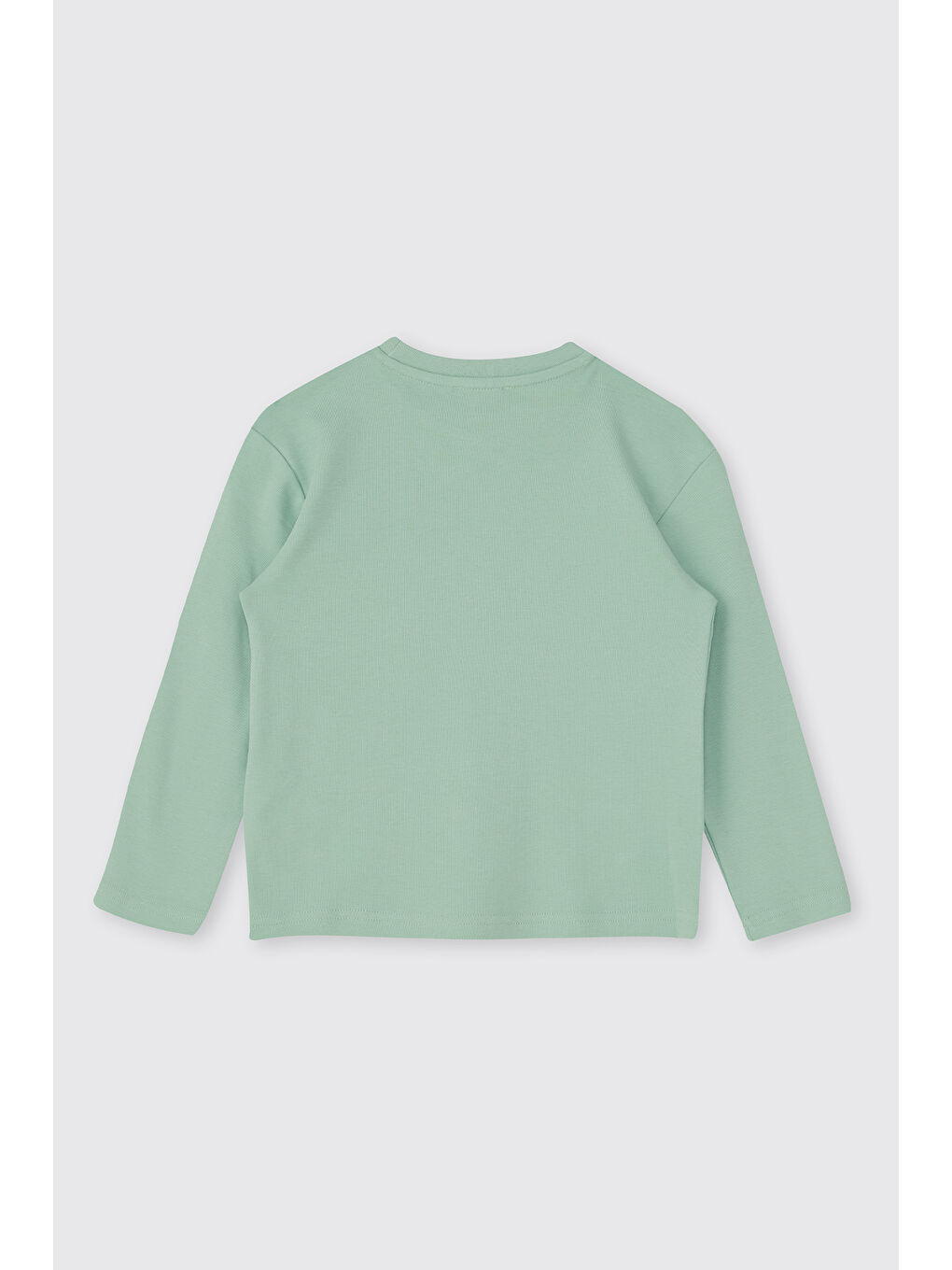 Erkek Çocuk Dinozor Desenli Turkuaz Pijama Takımı-4