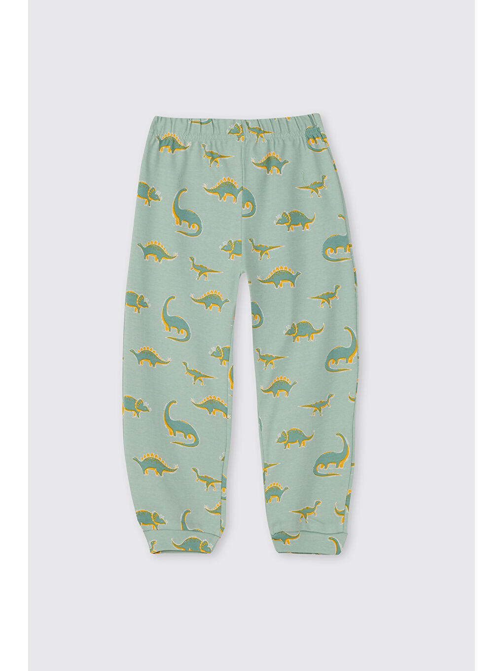 Erkek Çocuk Dinozor Desenli Turkuaz Pijama Takımı-6