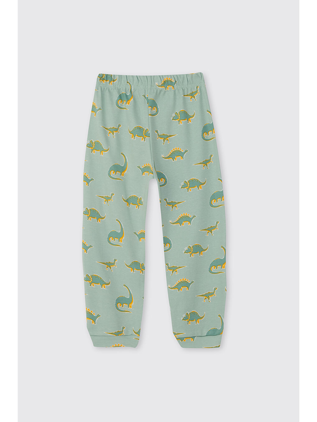 Erkek Çocuk Dinozor Desenli Turkuaz Pijama Takımı-7