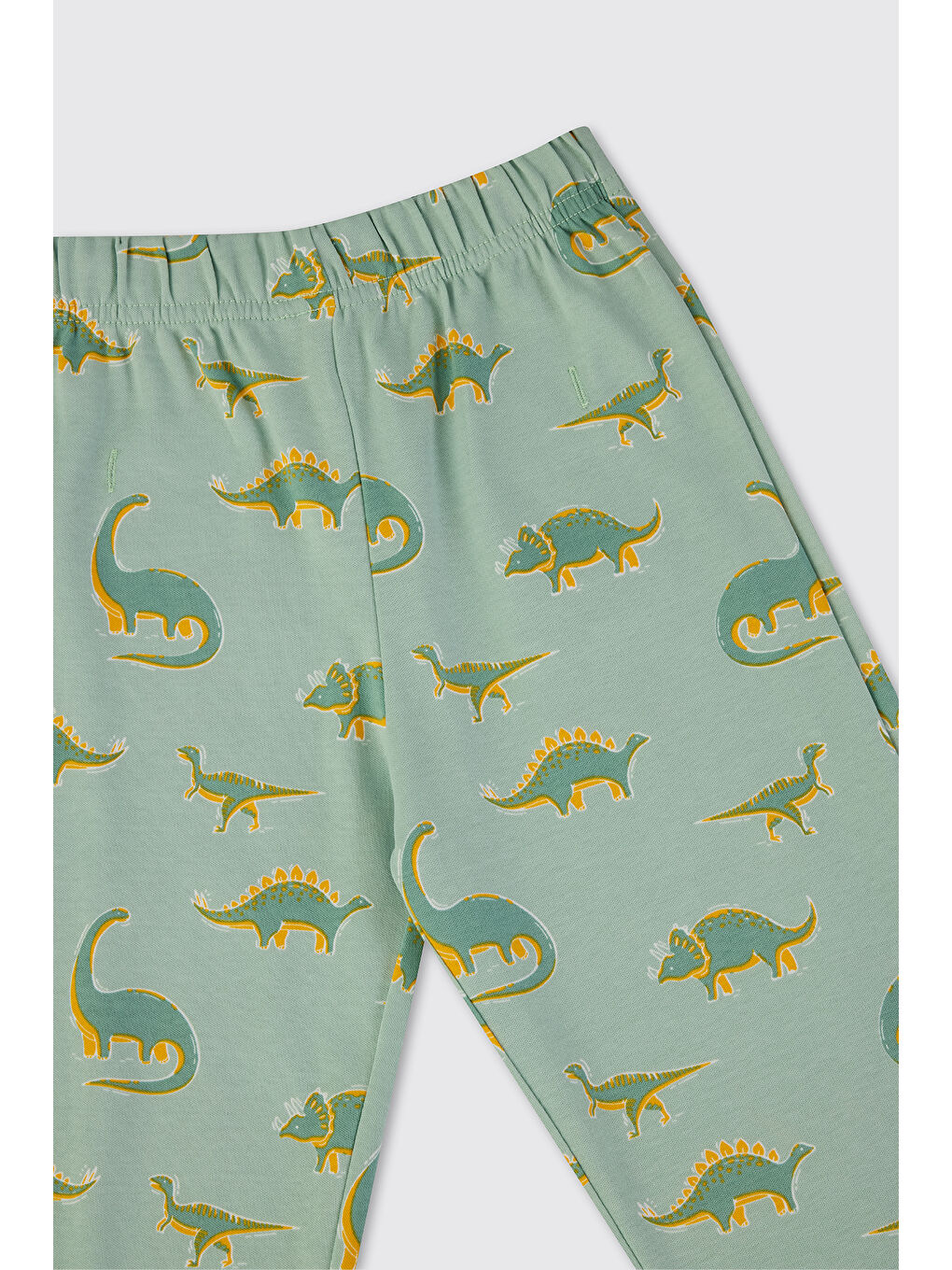 Erkek Çocuk Dinozor Desenli Turkuaz Pijama Takımı-8