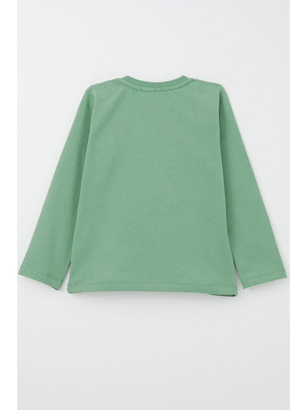 Turkuaz Erkek Bebek Uzun Kollu Tişört Hip Hop Ayıcık Nakışlı Mint Yeşili (9 Ay-3 Yaş)-1