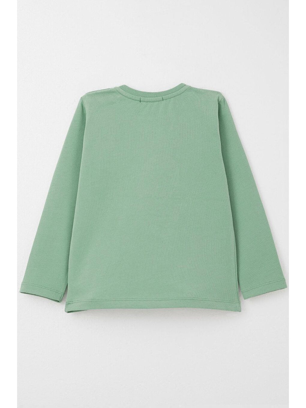 Turkuaz Erkek Bebek Uzun Kollu Tişört Havalı Ayıcık Nakışlı Mint Yeşili (9 Ay-3 Yaş)-1