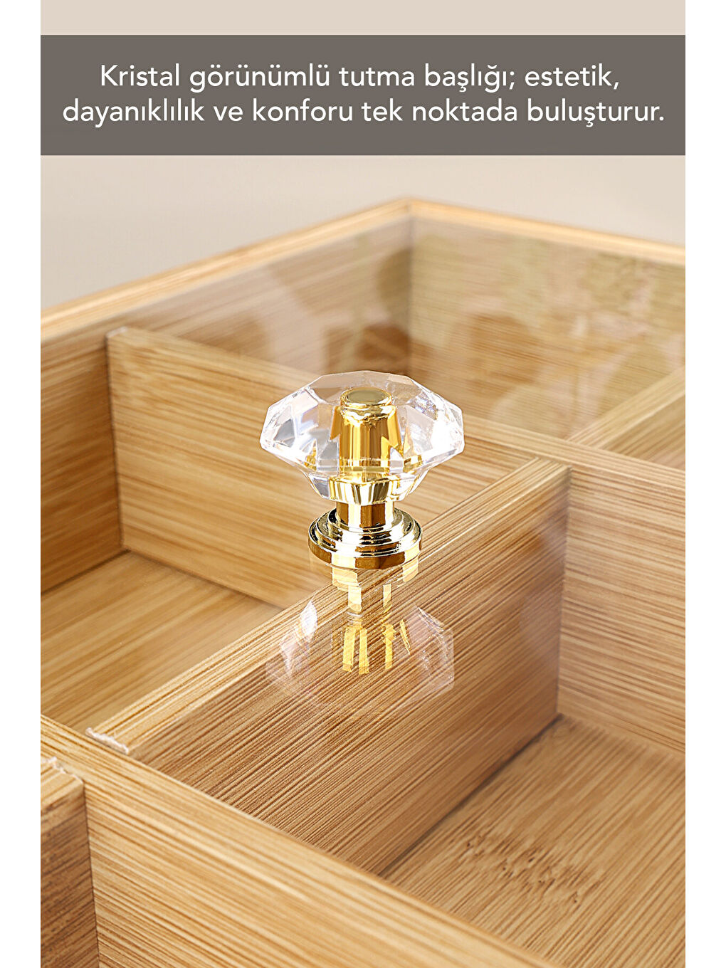 Bej Kapaklı Saklama Kabı-3