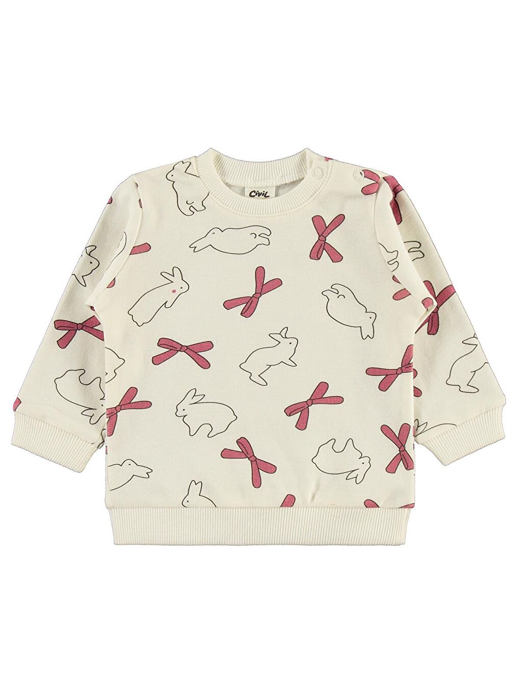 Pembe Baby Tavşan Baskılı 3'lü 6-18 Ay Takım-2