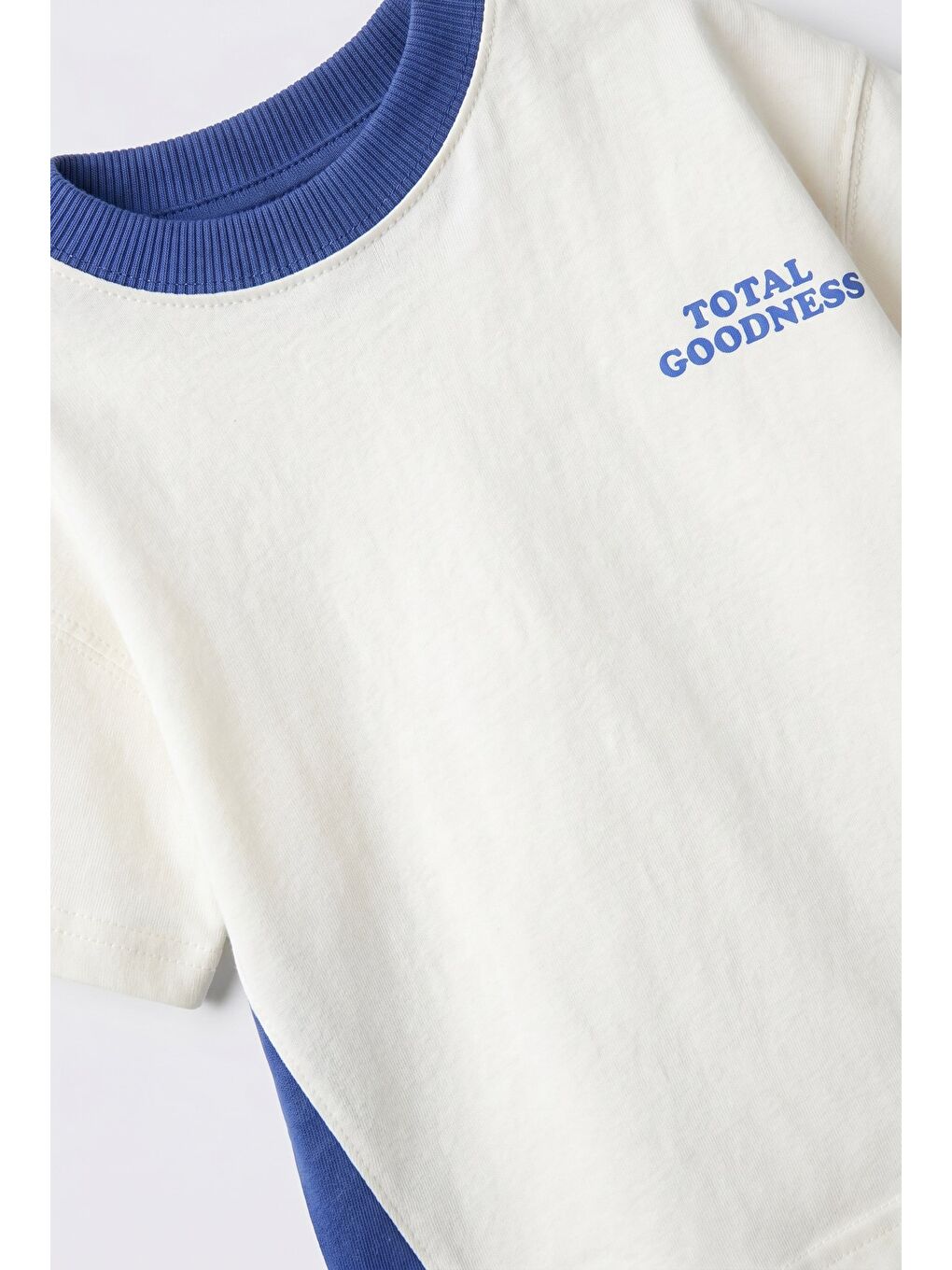 Karışık Erkek Çocuk Pamuklu Mavi Blok Renk T-Shirt Şort Takım-4