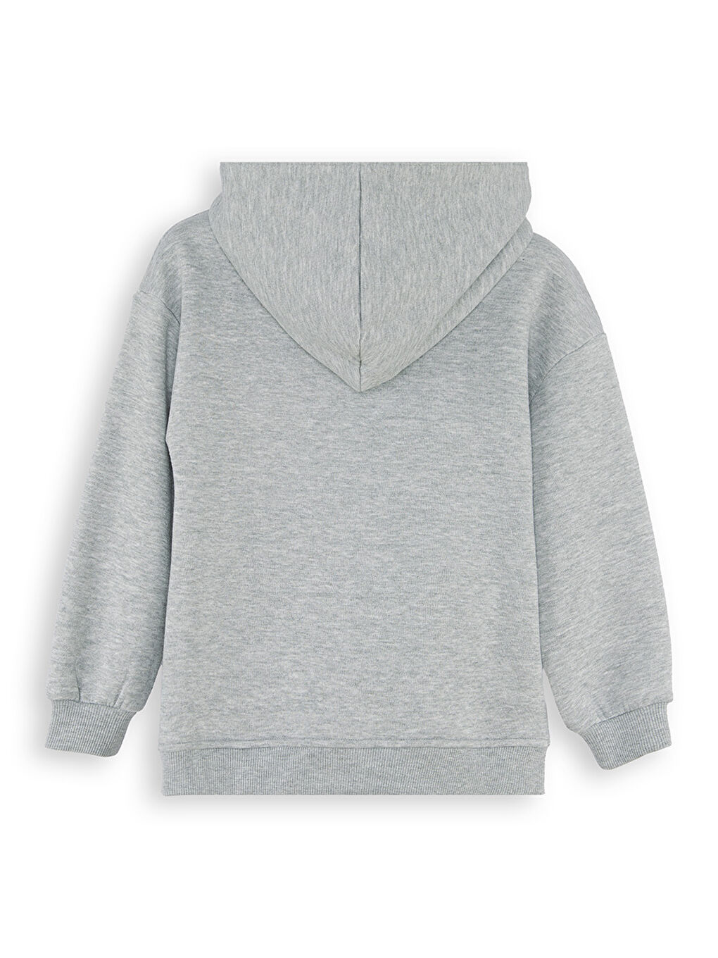 Gri Dinozor Erkek Çocuk Fermuarlı Kapüşonlu Sweatshirt-3