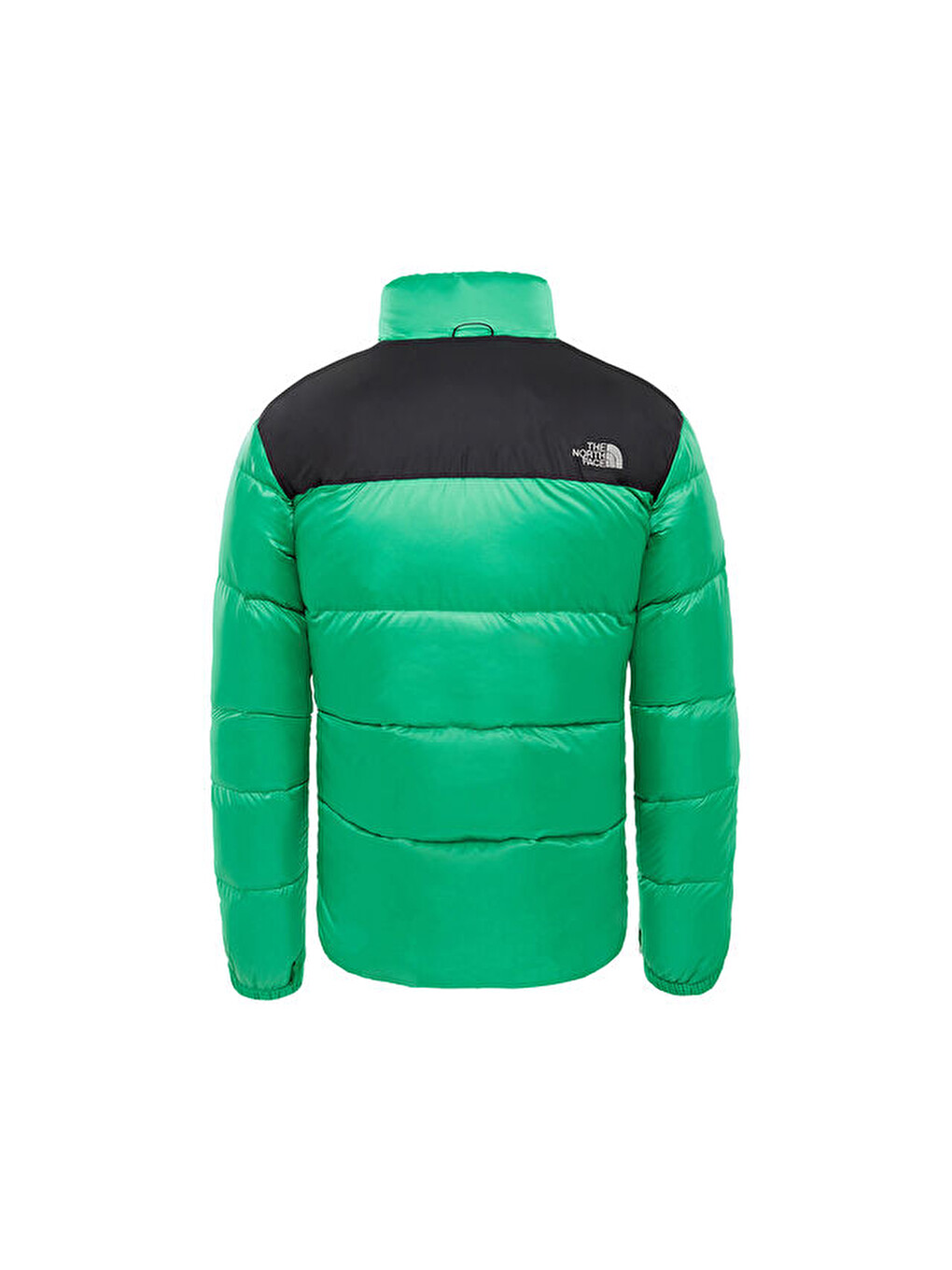 Yeşil Erkek Outdoor Mont T933ıt6xa M Nuptse İii Jacket-1