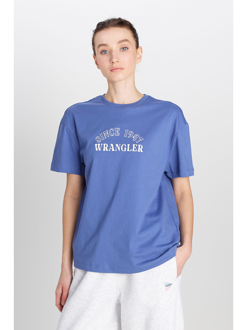 Mor Regular Fit Normal Kesim Bisiklet Yaka %100 Pamuk Mavi Tişört-1