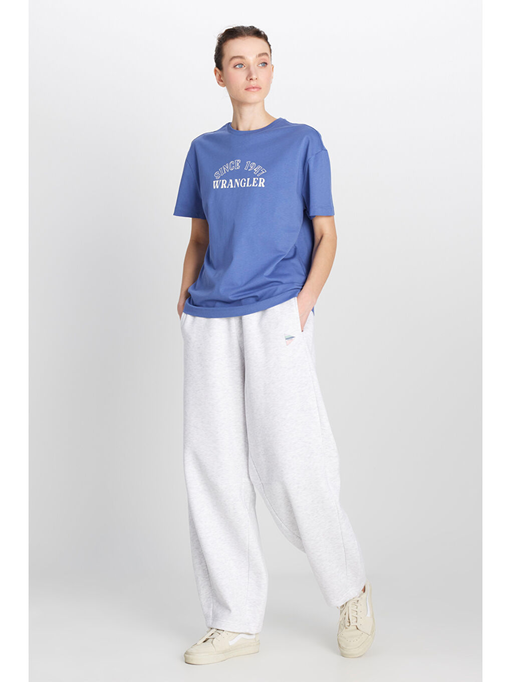 Mor Regular Fit Normal Kesim Bisiklet Yaka %100 Pamuk Mavi Tişört-2