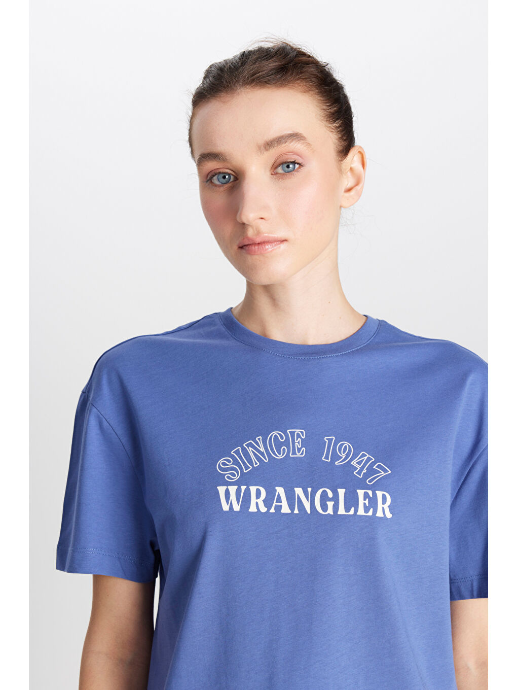 Mor Regular Fit Normal Kesim Bisiklet Yaka %100 Pamuk Mavi Tişört-3