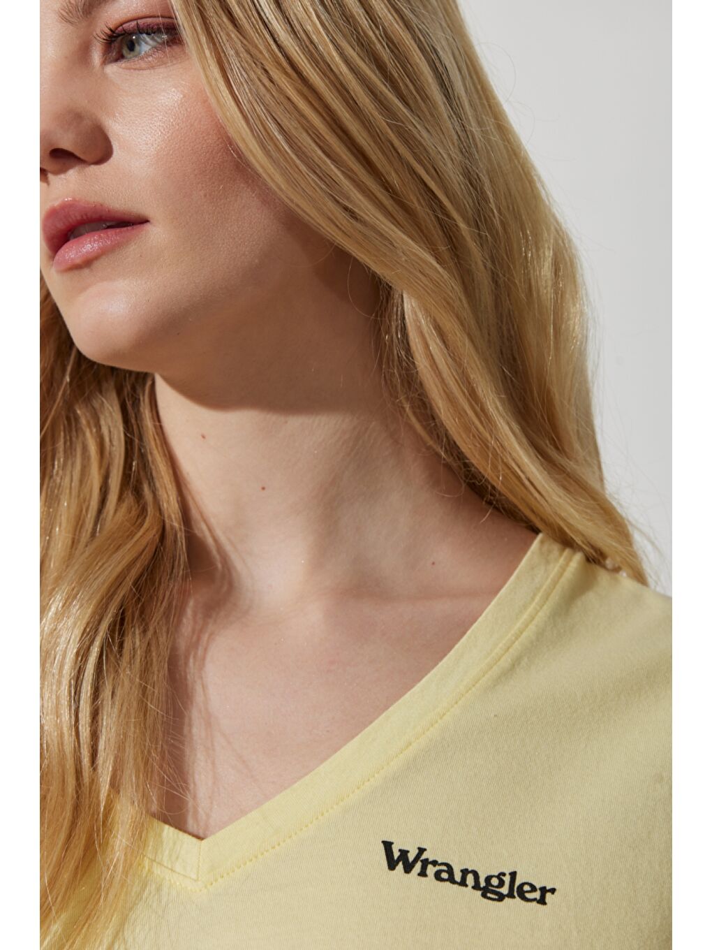 Gri Regular Fit Normal Kesim %100 Pamuk V Yaka Tişört-1