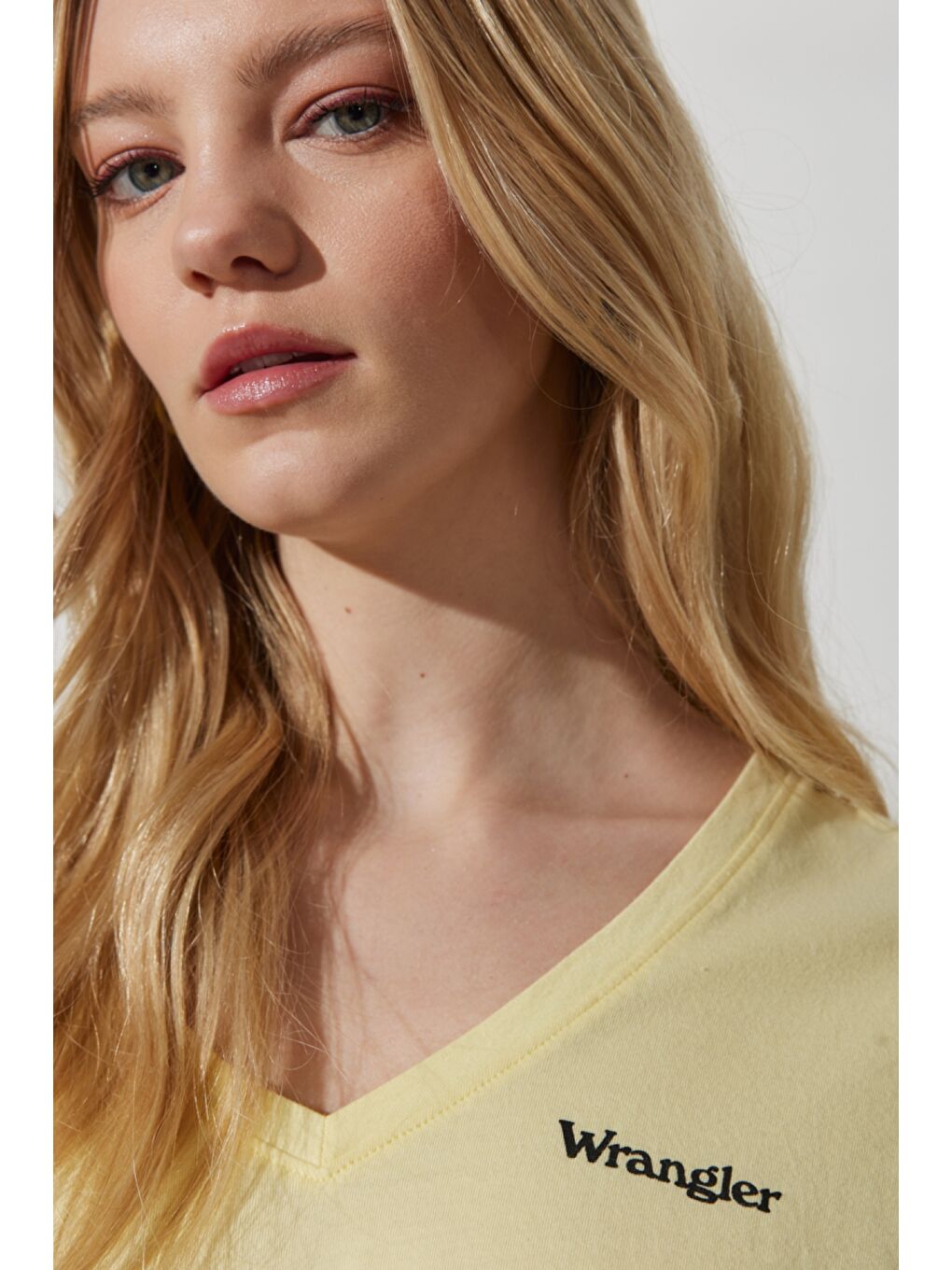 Gri Regular Fit Normal Kesim %100 Pamuk V Yaka Tişört-2