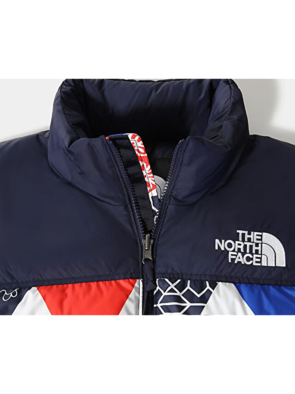 Karışık W Printed 1996 Retro Nuptse Jacket Kadın Outdoor Montu Nf0a5ıxk3h11 Çok Renkli-1