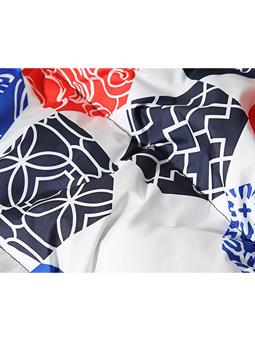 Karışık W Printed 1996 Retro Nuptse Jacket Kadın Outdoor Montu Nf0a5ıxk3h11 Çok Renkli-5