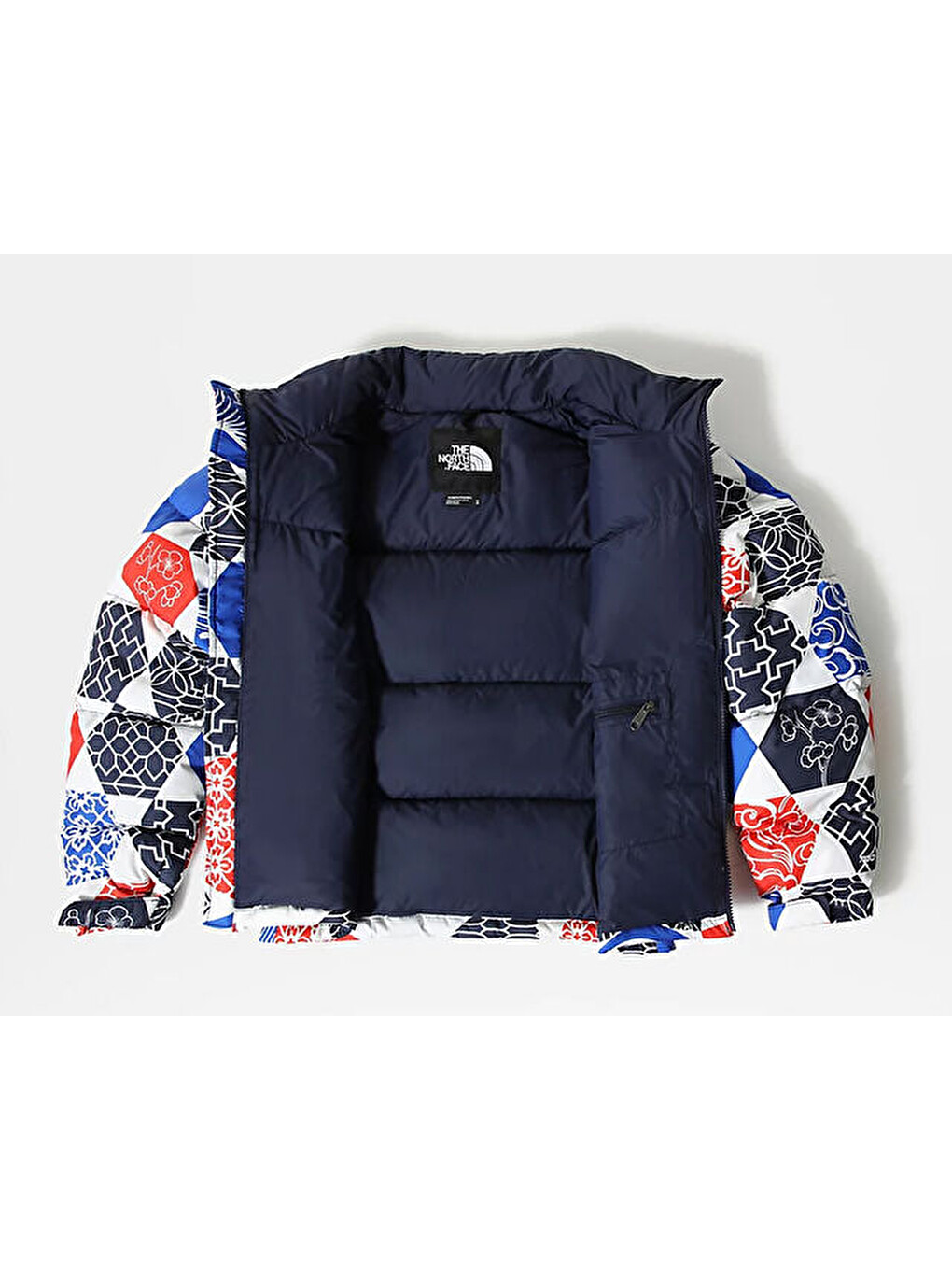 Karışık W Printed 1996 Retro Nuptse Jacket Kadın Outdoor Montu Nf0a5ıxk3h11 Çok Renkli-6