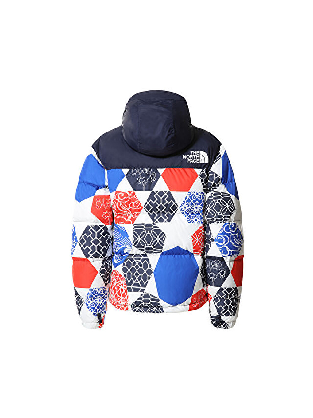 Karışık W Printed 1996 Retro Nuptse Jacket Kadın Outdoor Montu Nf0a5ıxk3h11 Çok Renkli-8