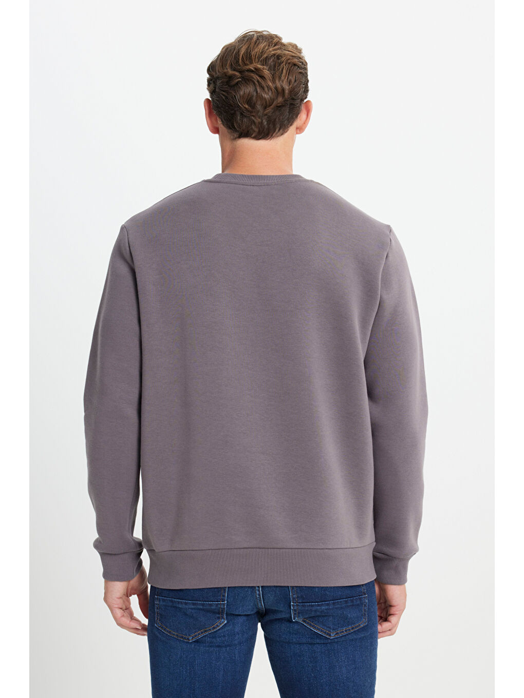 Erkek Koyu Gri Standart Fit Normal Kesim İçi Polarlı Bisiklet Yaka Sweatshirt-4