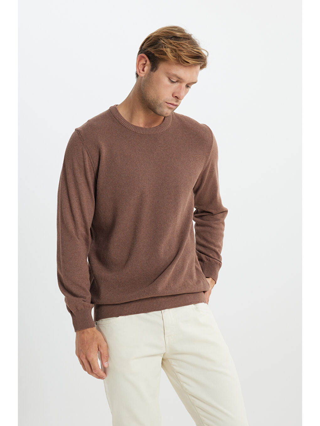 Bej Erkek Vizon Pamuklu Standart Fit Normal Kesim Bisiklet Yaka Jakarlı Triko Kazak