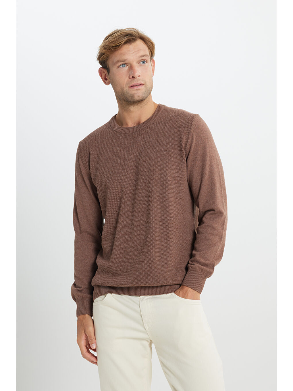 Bej Erkek Vizon Pamuklu Standart Fit Normal Kesim Bisiklet Yaka Jakarlı Triko Kazak-2