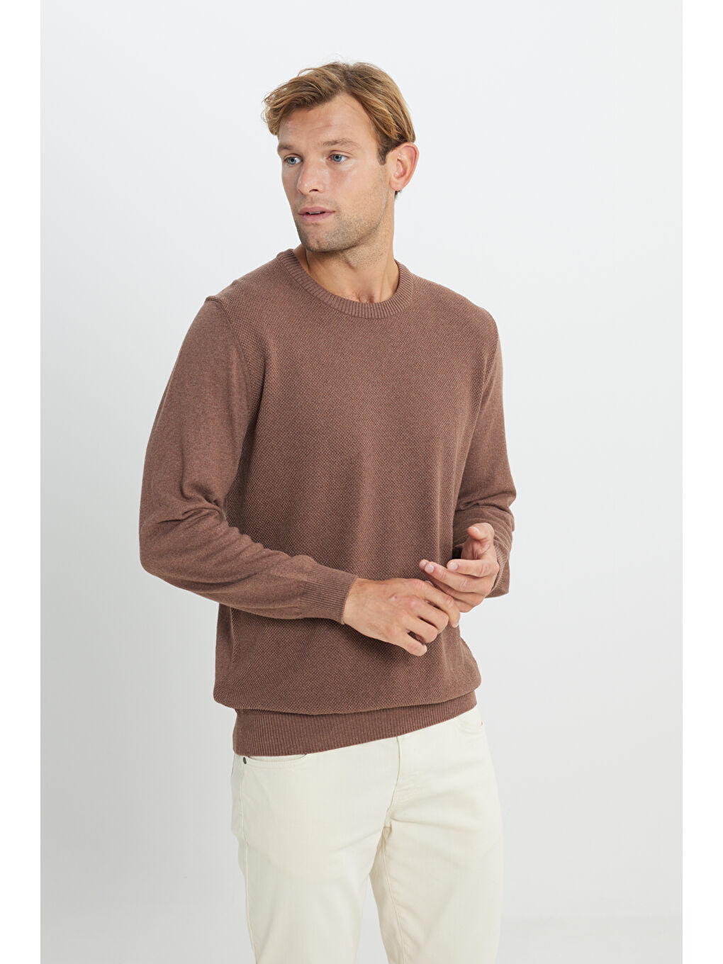 Bej Erkek Vizon Pamuklu Standart Fit Normal Kesim Bisiklet Yaka Jakarlı Triko Kazak-3