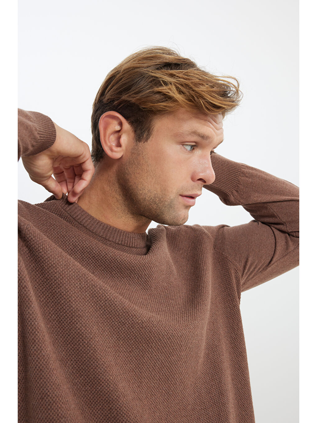 Bej Erkek Vizon Pamuklu Standart Fit Normal Kesim Bisiklet Yaka Jakarlı Triko Kazak-4