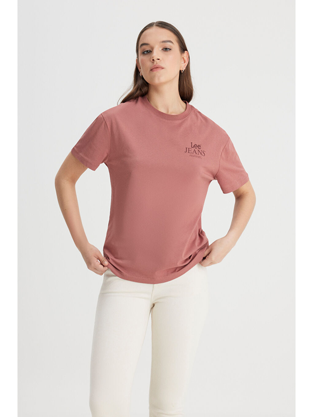 Gri Relaxed Fit Geniş Kesim Bisiklet Yaka %100 Pamuk Kiremit Rengi Tişört-1