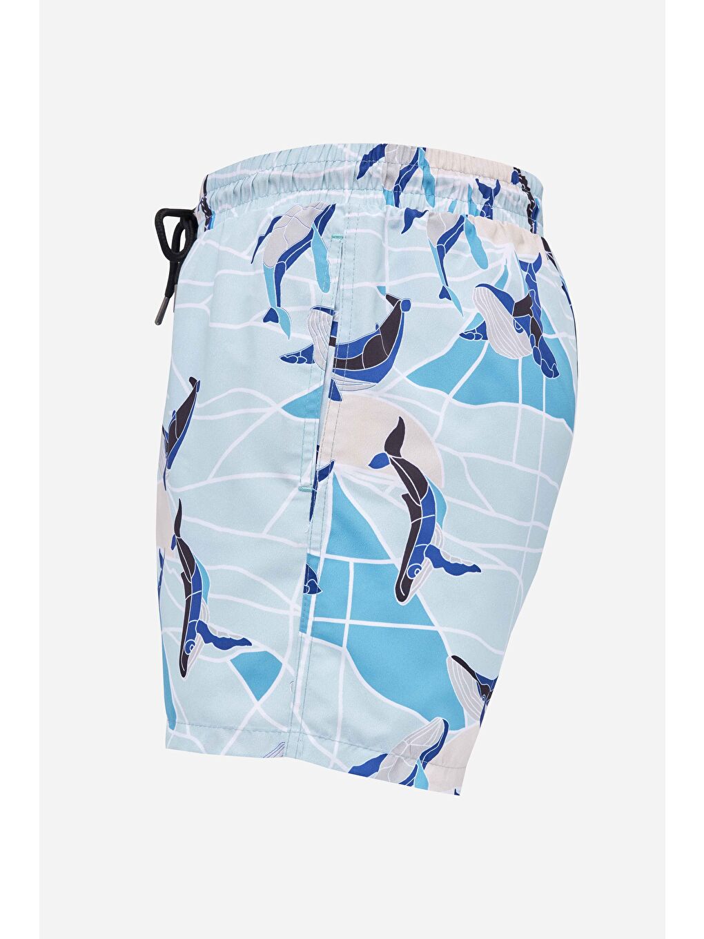 Karışık Erkek Standart Fit Hızlı Kuruyan Desenli Mayo Deniz Şortu-1