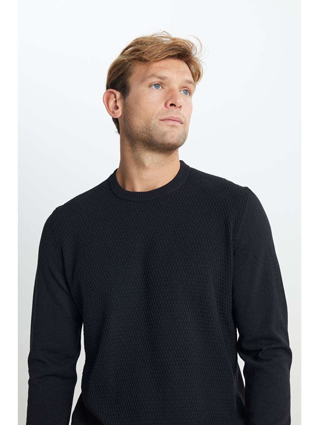 Erkek Siyah Pamuklu Standart Fit Normal Kesim Bisiklet Yaka Jakarlı Triko Kazak-4