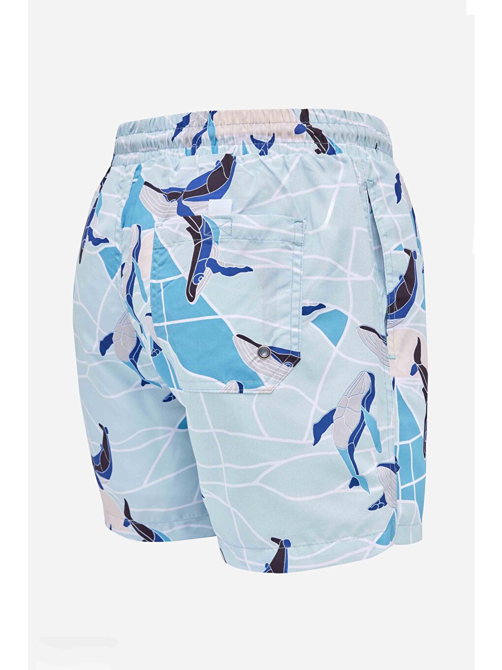 Karışık Erkek Standart Fit Hızlı Kuruyan Desenli Mayo Deniz Şortu-3