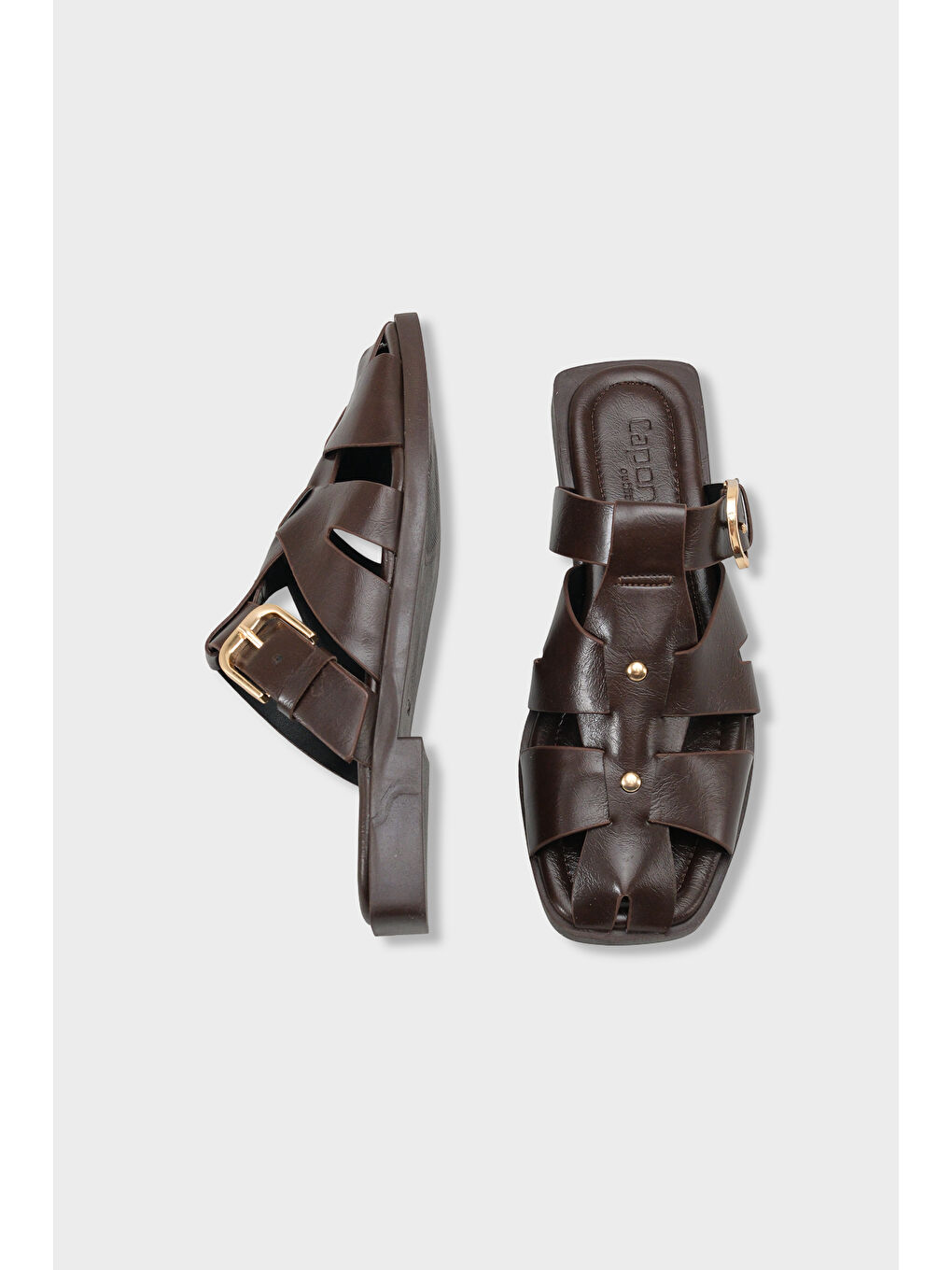 Kahverengi Willa Gladyatör Kadın Terlik-4