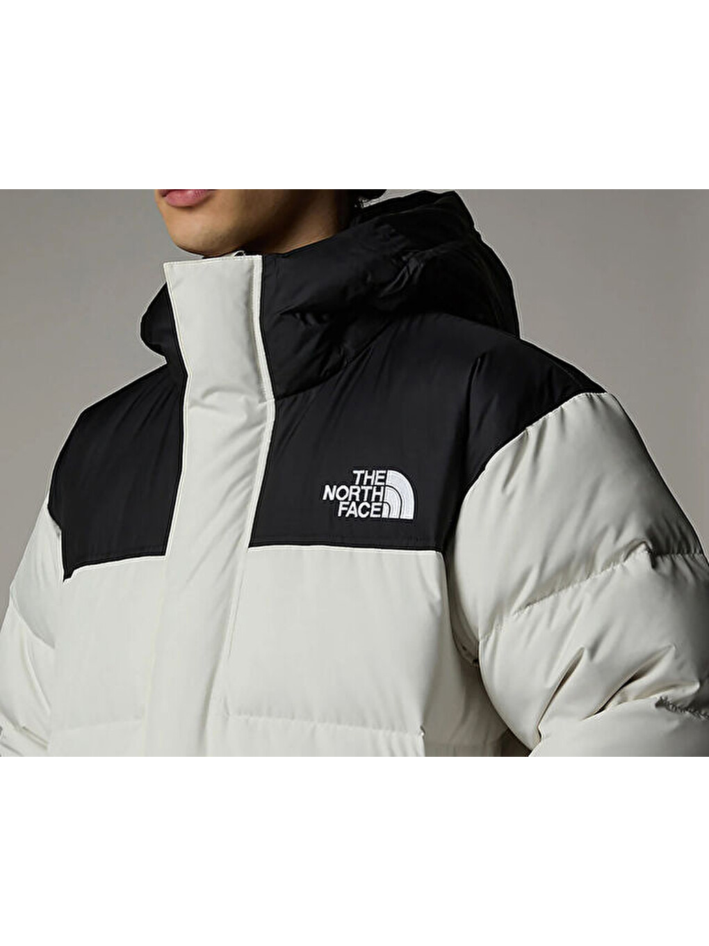 M Nuptse Parka Erkek Outdoor Montu (700 Dolgu Kaz Tüyü) Nf0a832jrou1 Bej-10