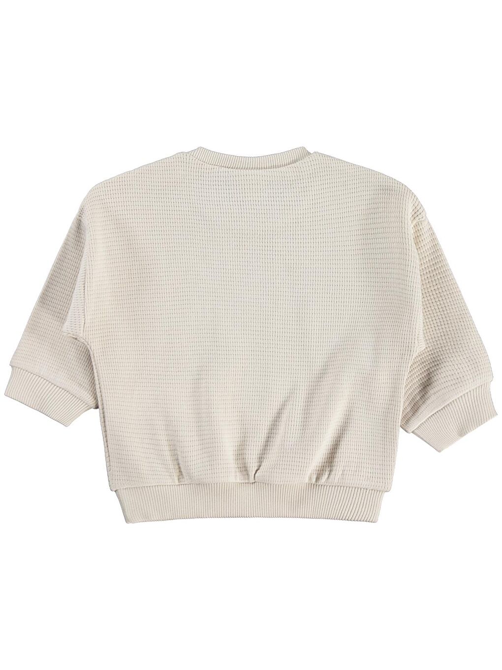 Bej Baby Cute Tiger Etiketli 6-18 Ay Sweatshirt-1