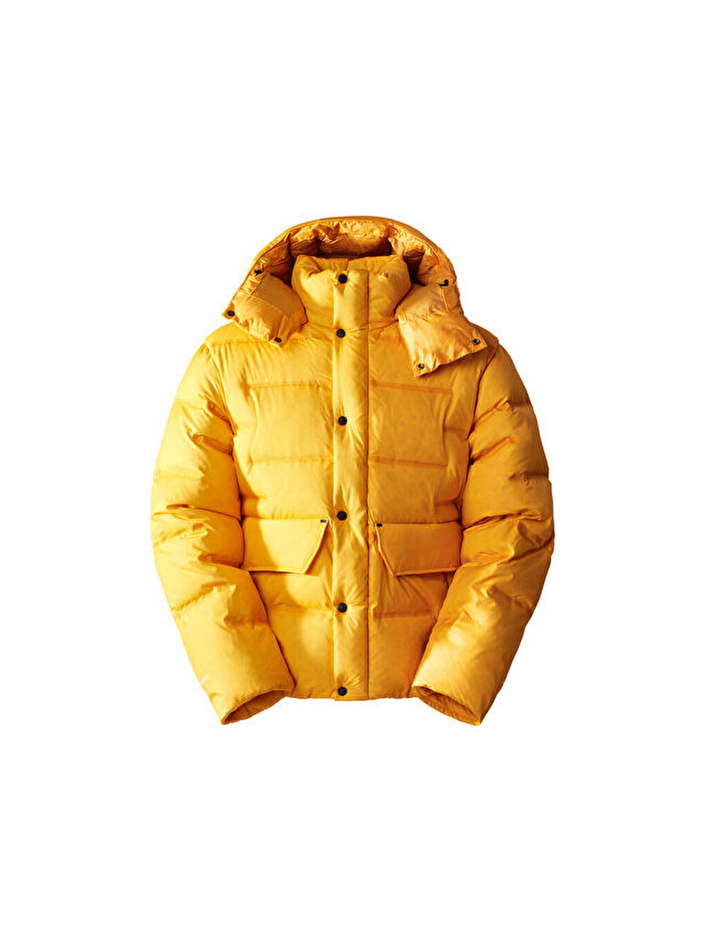 M Rmst Sierra Erkek Outdoor Montu (700 Dolgu Kaz Tüyü) Nf0a832r56p1 Sarı