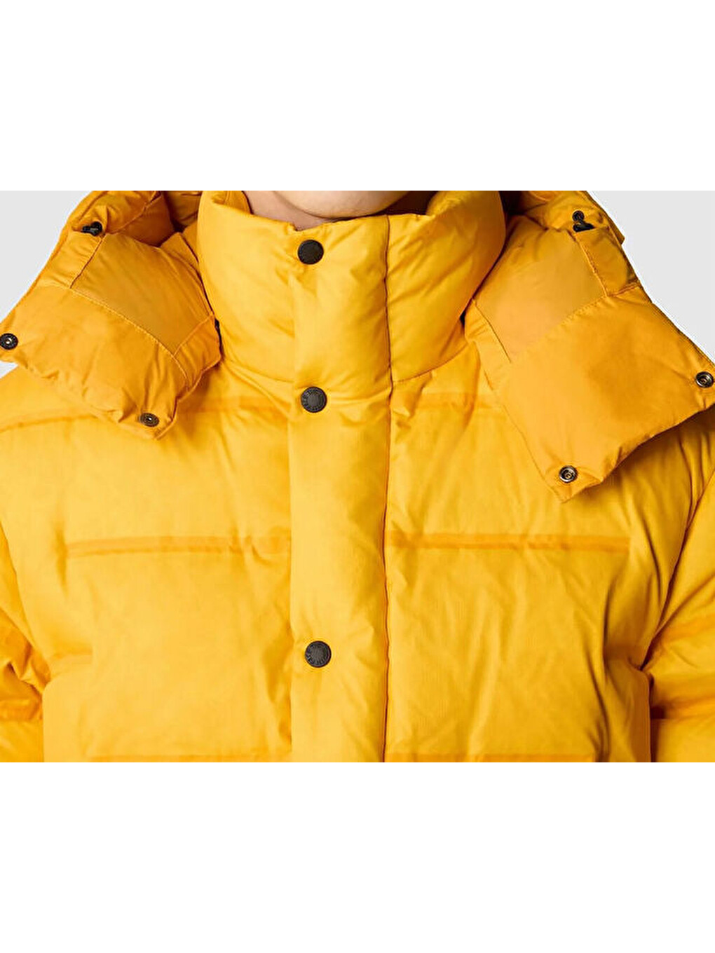 M Rmst Sierra Erkek Outdoor Montu (700 Dolgu Kaz Tüyü) Nf0a832r56p1 Sarı-4