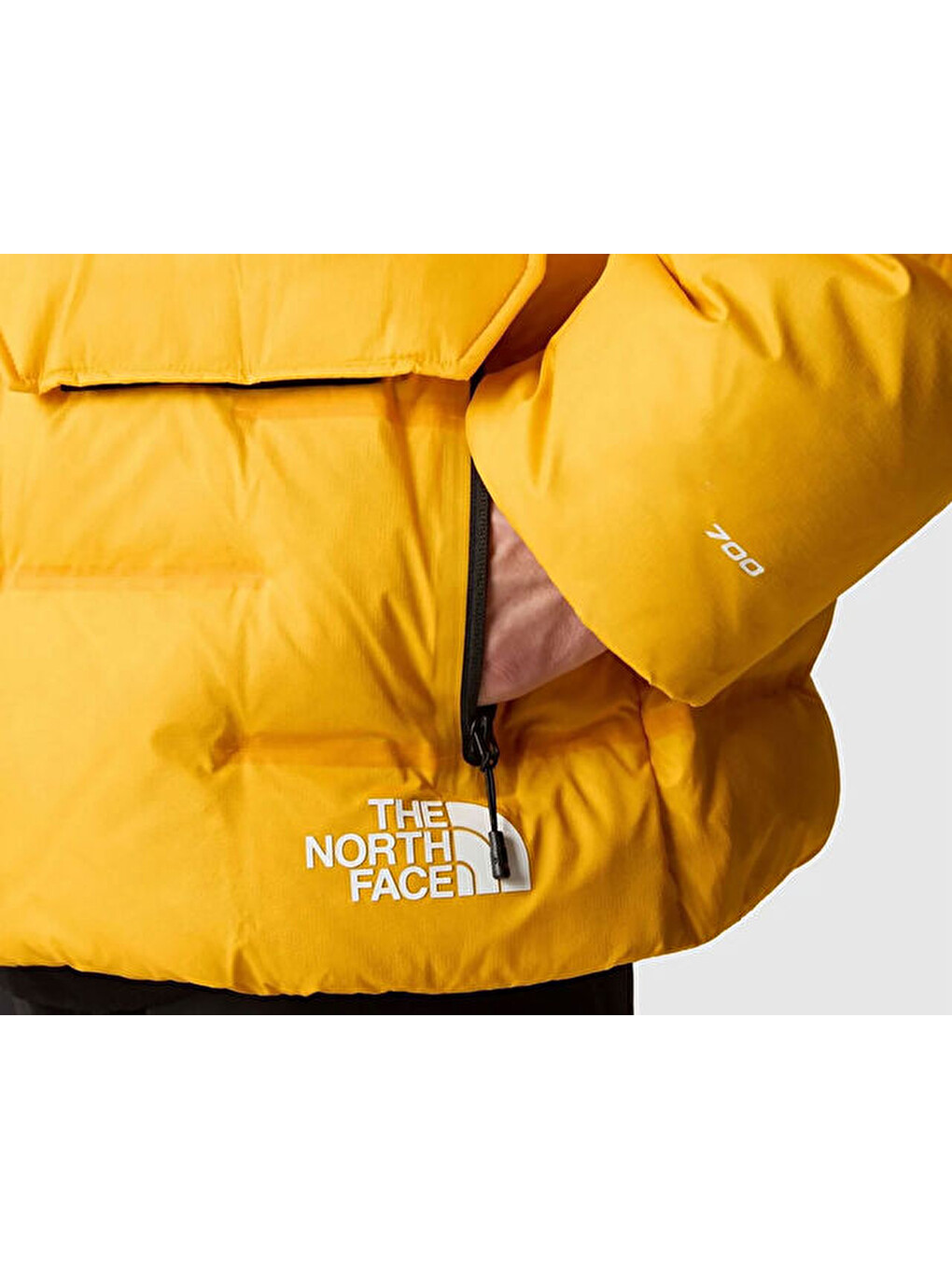 M Rmst Sierra Erkek Outdoor Montu (700 Dolgu Kaz Tüyü) Nf0a832r56p1 Sarı-5
