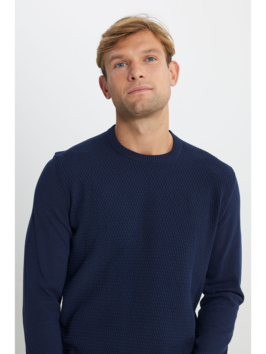 Erkek Lacivert Pamuklu Standart Fit Normal Kesim Bisiklet Yaka Jakarlı Triko Kazak-3