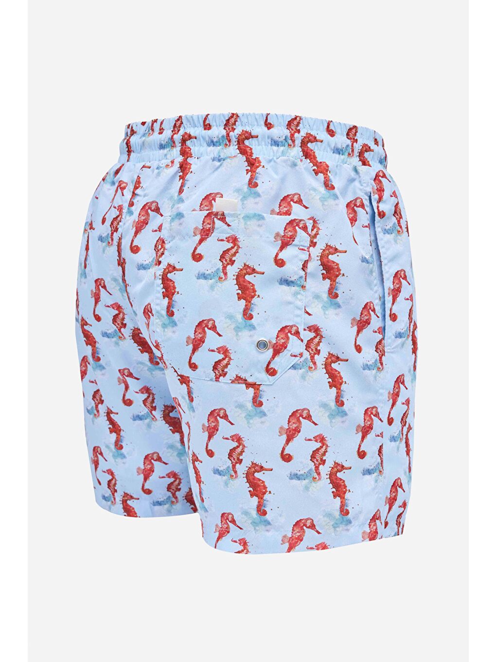 Karışık Erkek Standart Fit Hızlı Kuruyan Desenli Mavi Mayo Deniz Şortu-3