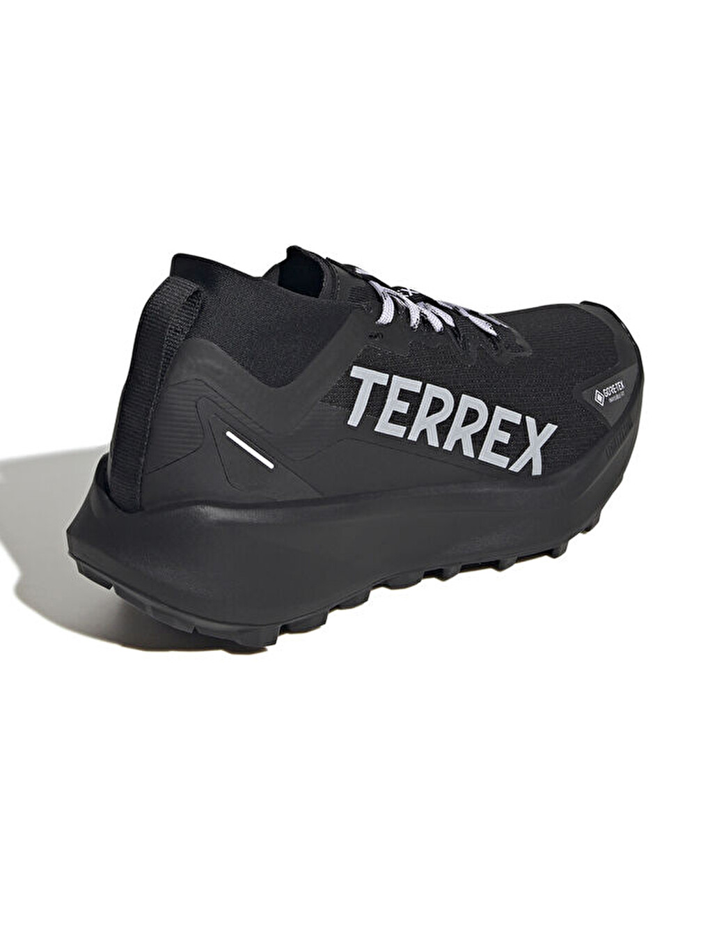 Terrex Agravic Gtx W Kadın Arazi Tipi Koşu Ayakkabısı Ih5358 Siyah-10