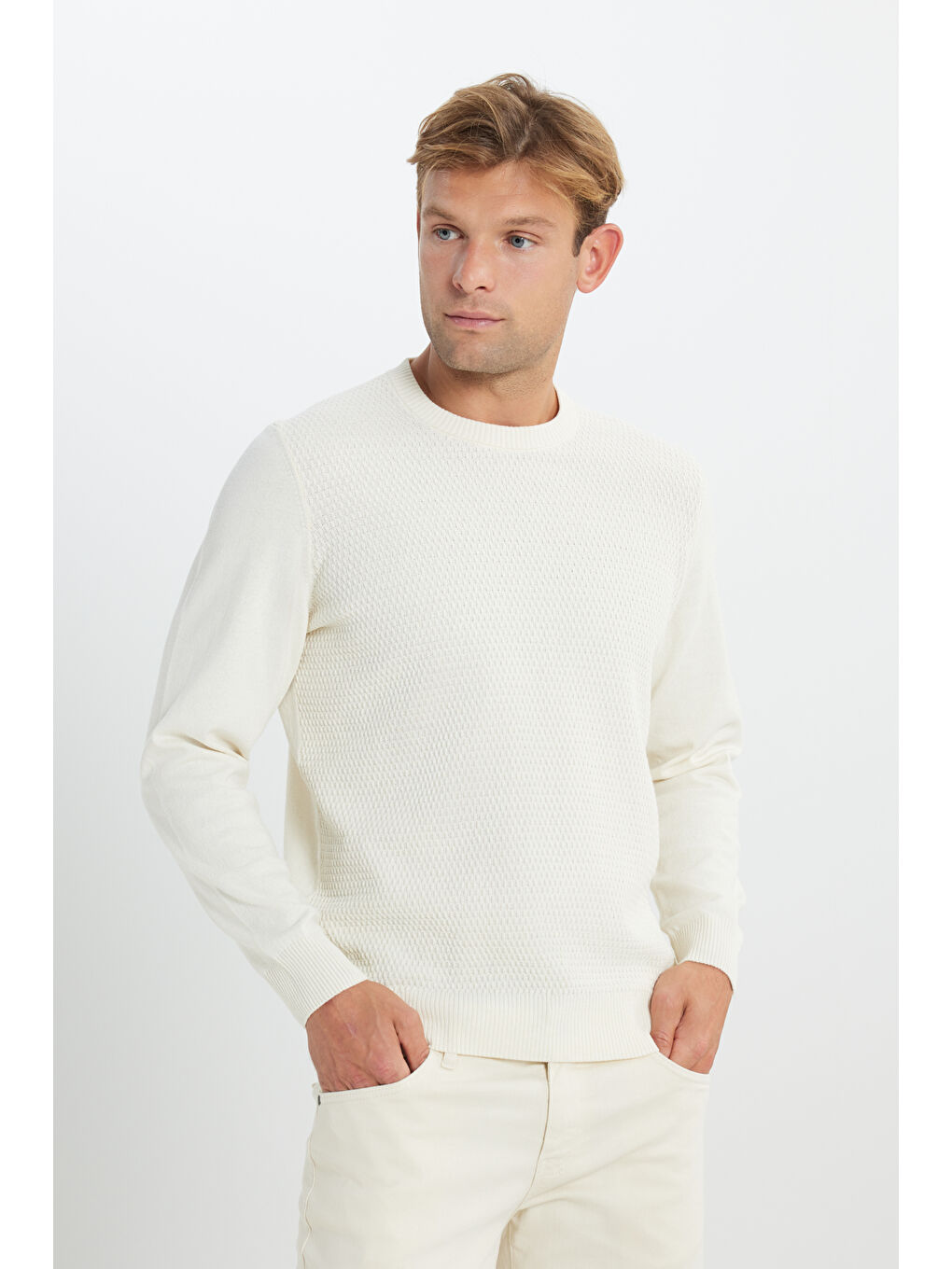 Erkek Ekru Pamuklu Standart Fit Normal Kesim Bisiklet Yaka Jakarlı Triko Kazak