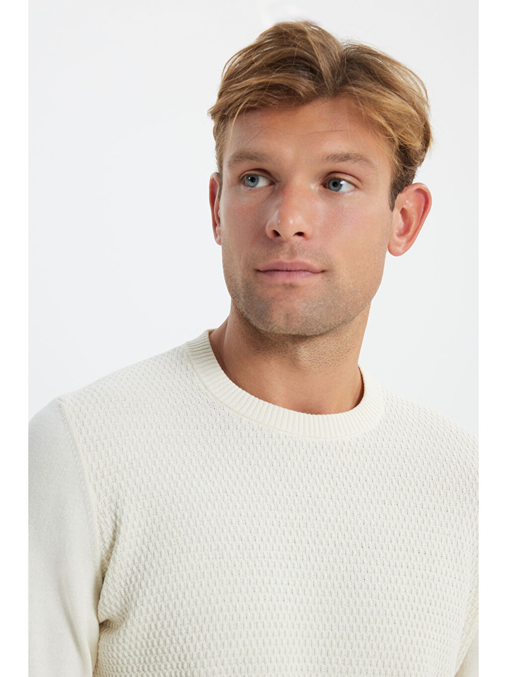 Erkek Ekru Pamuklu Standart Fit Normal Kesim Bisiklet Yaka Jakarlı Triko Kazak-3