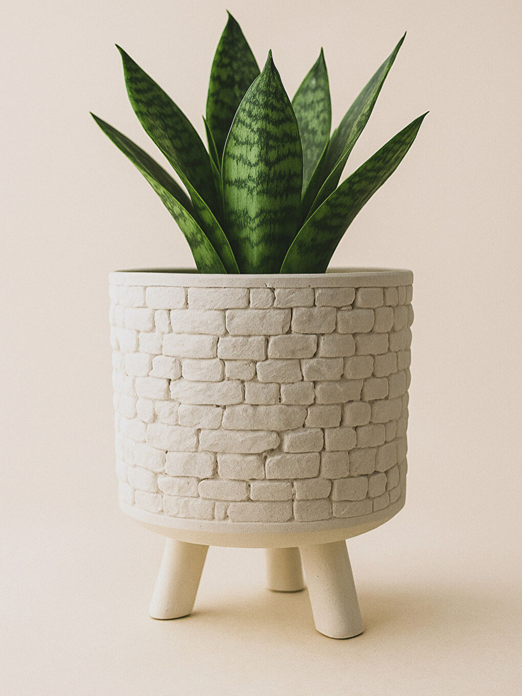 Beyaz Duvar Görünümlü Ayaklı Saksı Büyük Boy