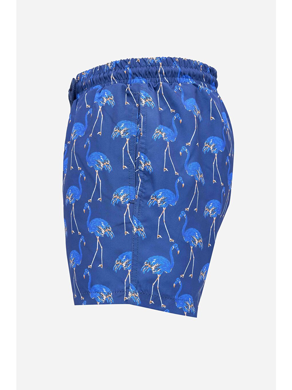 Erkek Standart Fit Hızlı Kuruyan Desenli Sax Mavi Mayo Deniz Şortu-1