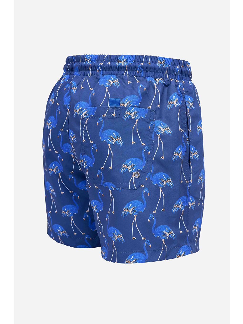 Erkek Standart Fit Hızlı Kuruyan Desenli Sax Mavi Mayo Deniz Şortu-3