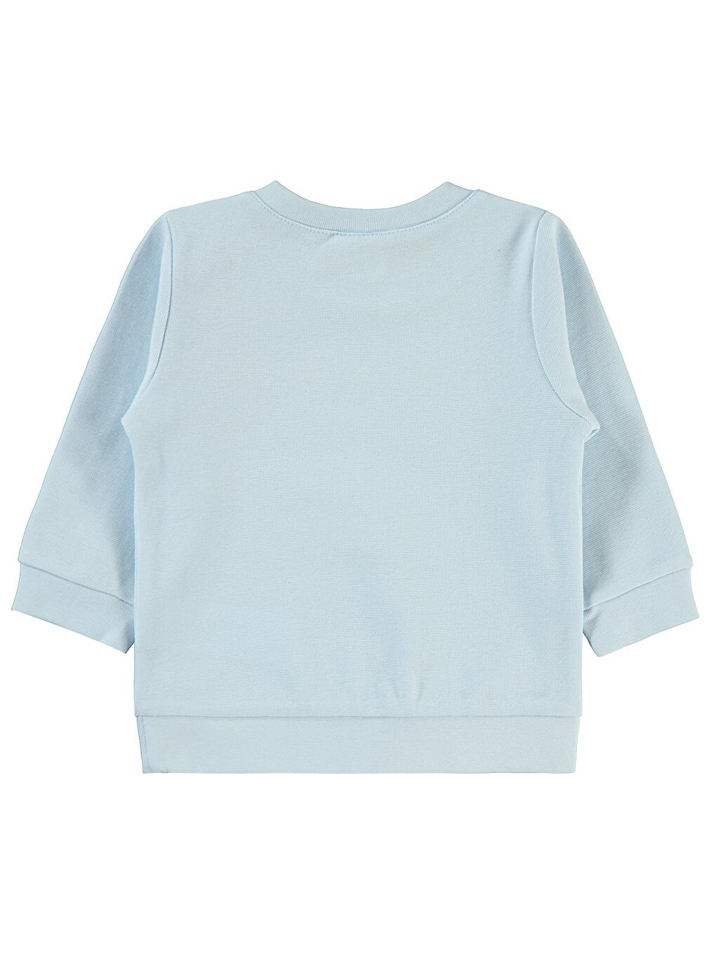 Yeşil Baby Unisex Sweatshirt 6-18 Ay Mint-1