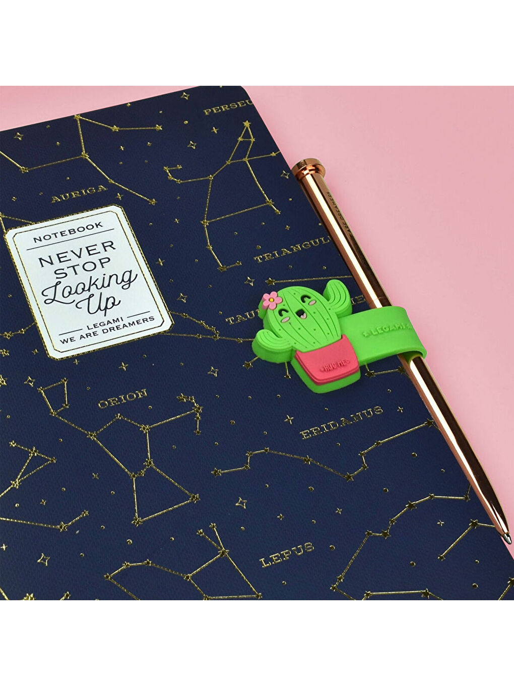 Manyetik Klips Kaktüs K088493-2