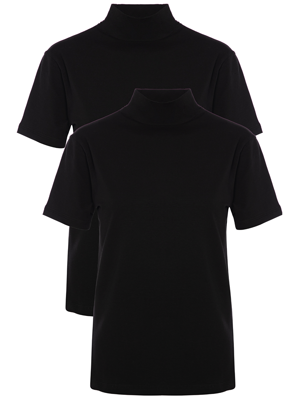 Siyah Kadın 2 li Kısa Kollu Pamuklu Elastanlı Balıkçı Yaka 3257