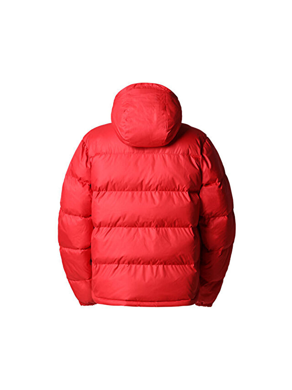 M 71 Sierra Down Short Jacket Erkek Outdoor Montu Nf0a7us36821 Kırmızı-1
